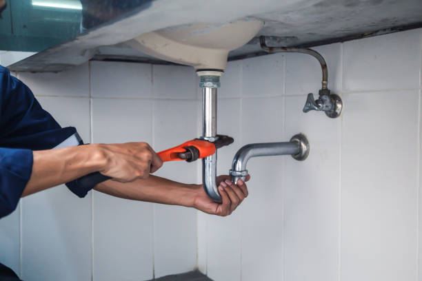 Best Clogged Drain Plumber  in Fort Dodge, IA