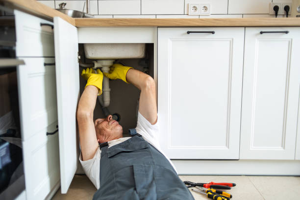 Best Leak Detection Services  in Fort Dodge, IA